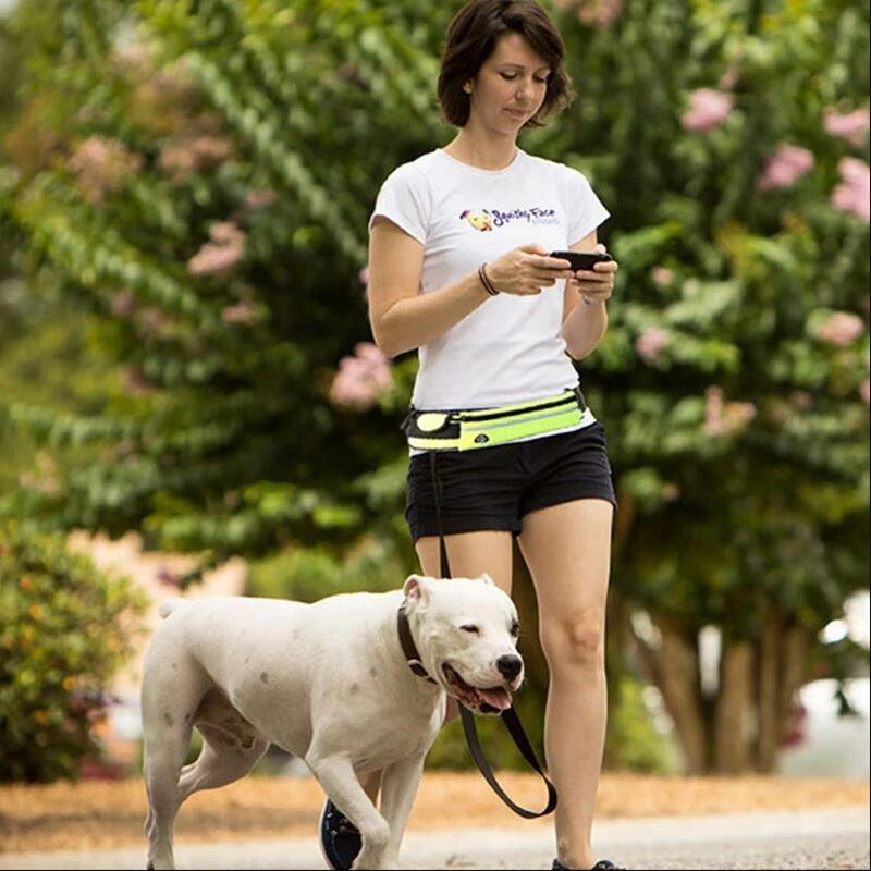 Hands-Free Hundkoppel med Bälte – För promenader och träning av stora hundar