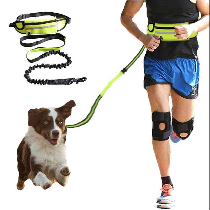 Hands-Free Hundkoppel med Bälte – För promenader och träning av stora hundar